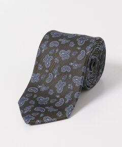 URBAN RESEARCH DOORS / アーバンリサーチ ドアーズ ネクタイ | LIFE STYLE TAILOR　23AW国内タイペイズリー1