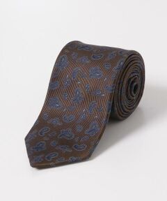 URBAN RESEARCH DOORS / アーバンリサーチ ドアーズ ネクタイ | LIFE STYLE TAILOR　23AW国内タイペイズリー1