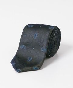 URBAN RESEARCH DOORS / アーバンリサーチ ドアーズ ネクタイ | LIFE STYLE TAILOR　24AW国内タイペイズリー1