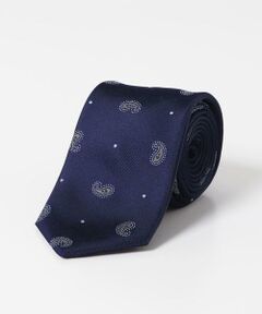 URBAN RESEARCH DOORS / アーバンリサーチ ドアーズ ネクタイ | LIFE STYLE TAILOR　24AW国内タイペイズリー1