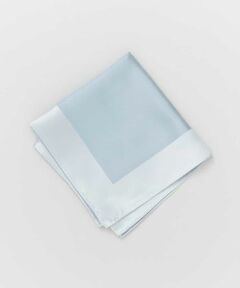 URBAN RESEARCH DOORS / アーバンリサーチ ドアーズ ハンカチ | LIFE STYLE TAILOR　シルクプレーンチーフ