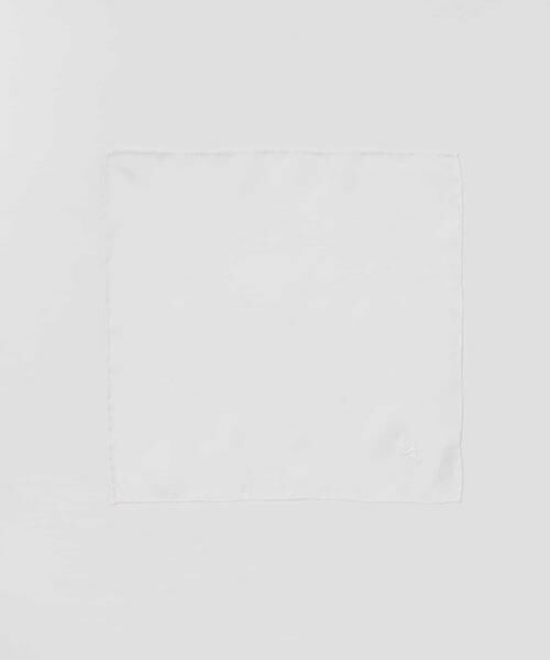 URBAN RESEARCH DOORS / アーバンリサーチ ドアーズ ハンカチ | LIFE STYLE TAILOR　シルクチーフ | 詳細9