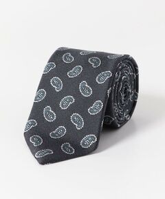 URBAN RESEARCH DOORS / アーバンリサーチ ドアーズ ネクタイ | LIFE STYLE TAILOR　25SS国内タイペイズリー2