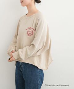 URBAN RESEARCH DOORS / アーバンリサーチ ドアーズ Tシャツ | 『一部別注カラー』GOOD ROCK SPEED　HARVARD UNIVERSITY