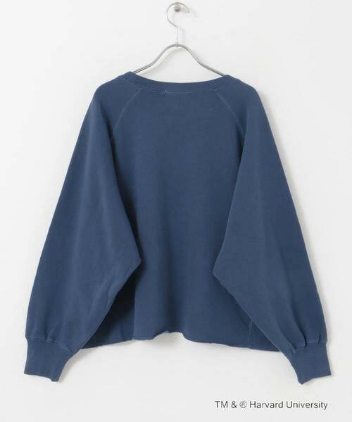 URBAN RESEARCH DOORS / アーバンリサーチ ドアーズ Tシャツ | 『一部別注カラー』GOOD ROCK SPEED　HARVARD UNIVERSITY | 詳細10