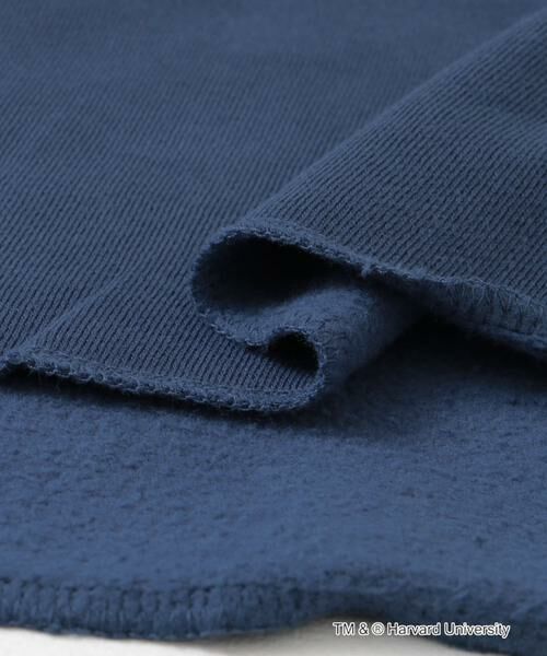 URBAN RESEARCH DOORS / アーバンリサーチ ドアーズ Tシャツ | 『一部別注カラー』GOOD ROCK SPEED　HARVARD UNIVERSITY | 詳細11