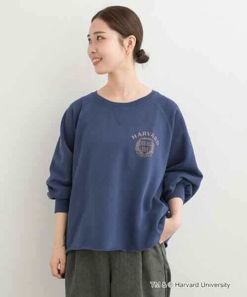 URBAN RESEARCH DOORS / アーバンリサーチ ドアーズ Tシャツ | 『一部別注カラー』GOOD ROCK SPEED　HARVARD UNIVERSITY | 詳細2