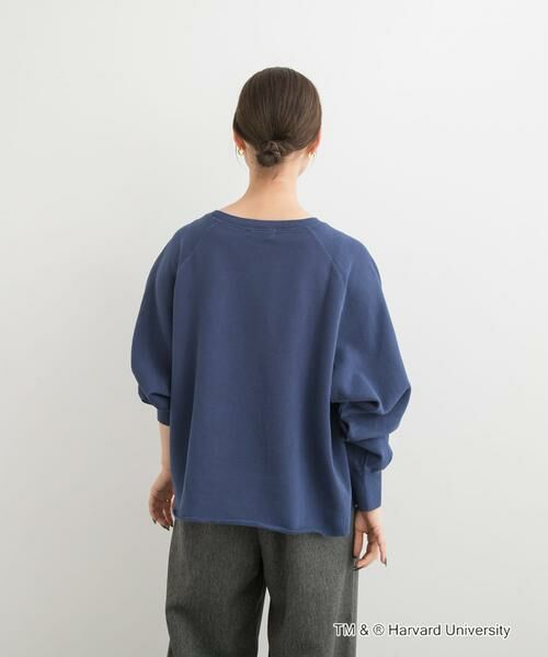 URBAN RESEARCH DOORS / アーバンリサーチ ドアーズ Tシャツ | 『一部別注カラー』GOOD ROCK SPEED　HARVARD UNIVERSITY | 詳細5