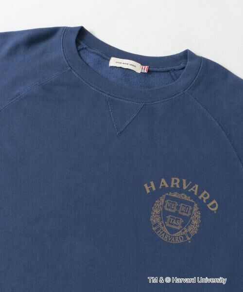 URBAN RESEARCH DOORS / アーバンリサーチ ドアーズ Tシャツ | 『一部別注カラー』GOOD ROCK SPEED　HARVARD UNIVERSITY | 詳細8