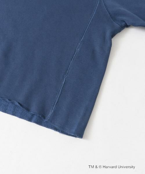 URBAN RESEARCH DOORS / アーバンリサーチ ドアーズ Tシャツ | 『一部別注カラー』GOOD ROCK SPEED　HARVARD UNIVERSITY | 詳細9