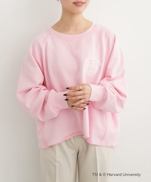 URBAN RESEARCH DOORS / アーバンリサーチ ドアーズ Tシャツ | 『一部別注カラー』GOOD ROCK SPEED　HARVARD UNIVERSITY | 詳細14