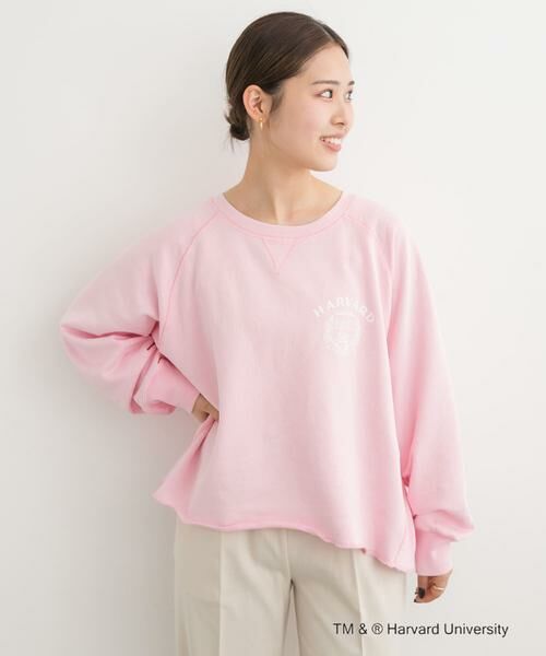 URBAN RESEARCH DOORS / アーバンリサーチ ドアーズ Tシャツ | 『一部別注カラー』GOOD ROCK SPEED　HARVARD UNIVERSITY | 詳細15