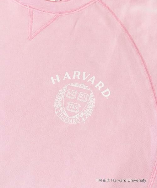 URBAN RESEARCH DOORS / アーバンリサーチ ドアーズ Tシャツ | 『一部別注カラー』GOOD ROCK SPEED　HARVARD UNIVERSITY | 詳細18