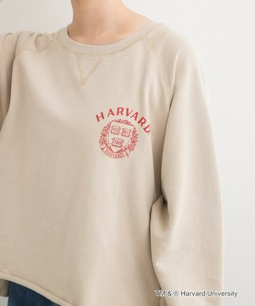 URBAN RESEARCH DOORS / アーバンリサーチ ドアーズ Tシャツ | 『一部別注カラー』GOOD ROCK SPEED　HARVARD UNIVERSITY | 詳細19