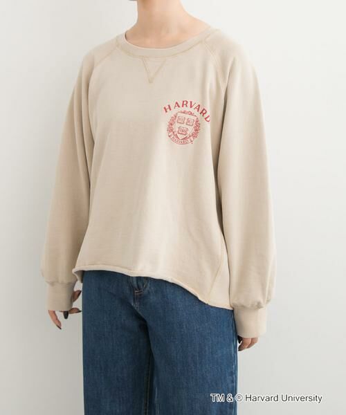 URBAN RESEARCH DOORS / アーバンリサーチ ドアーズ Tシャツ | 『一部別注カラー』GOOD ROCK SPEED　HARVARD UNIVERSITY | 詳細20