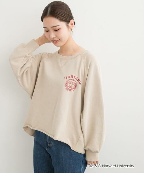 URBAN RESEARCH DOORS / アーバンリサーチ ドアーズ Tシャツ | 『一部別注カラー』GOOD ROCK SPEED　HARVARD UNIVERSITY | 詳細22