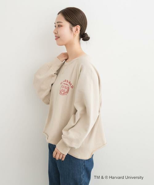 URBAN RESEARCH DOORS / アーバンリサーチ ドアーズ Tシャツ | 『一部別注カラー』GOOD ROCK SPEED　HARVARD UNIVERSITY | 詳細23