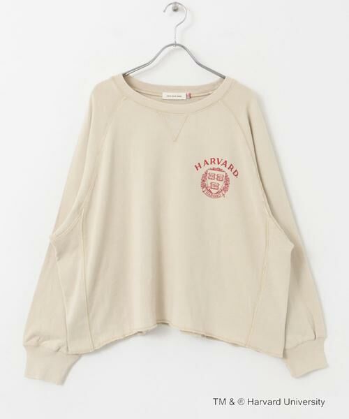 URBAN RESEARCH DOORS / アーバンリサーチ ドアーズ Tシャツ | 『一部別注カラー』GOOD ROCK SPEED　HARVARD UNIVERSITY | 詳細25