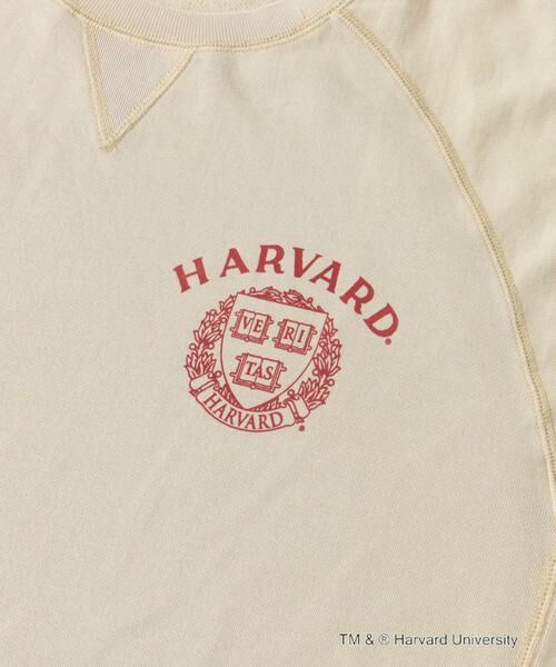 URBAN RESEARCH DOORS / アーバンリサーチ ドアーズ Tシャツ | 『一部別注カラー』GOOD ROCK SPEED　HARVARD UNIVERSITY | 詳細26