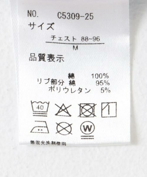 URBAN RESEARCH DOORS / アーバンリサーチ ドアーズ Tシャツ | 『別注』Common Noun×DOORS　HORSE Kana Akiyama T-shirts | 詳細10