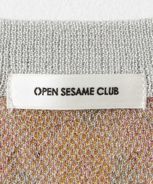 URBAN RESEARCH DOORS / アーバンリサーチ ドアーズ Tシャツ | OPEN SESAME CLUB　flower bed tops | 詳細4