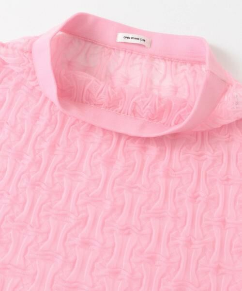 URBAN RESEARCH DOORS / アーバンリサーチ ドアーズ スカート | OPEN SESAME CLUB　sheerlattice skirt | 詳細2