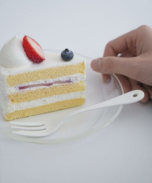 URBAN RESEARCH DOORS / アーバンリサーチ ドアーズ その他 | AXCIS　リュッケ プレート ホワイト | 詳細4