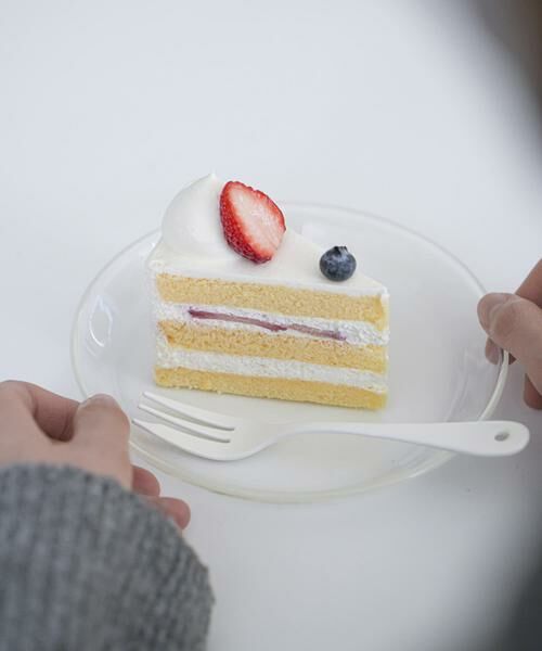 URBAN RESEARCH DOORS / アーバンリサーチ ドアーズ その他 | AXCIS　リュッケ プレート ホワイト | 詳細7