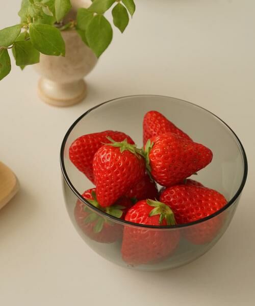 URBAN RESEARCH DOORS / アーバンリサーチ ドアーズ その他 | 『WEB限定』AXCIS　ラゴムボウルS グレー | 詳細2