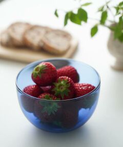 URBAN RESEARCH DOORS / アーバンリサーチ ドアーズ その他 | 『WEB限定』AXCIS　ラゴムボウルS ブルー