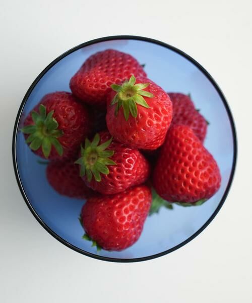 URBAN RESEARCH DOORS / アーバンリサーチ ドアーズ その他 | 『WEB限定』AXCIS　ラゴムボウルS ブルー | 詳細2