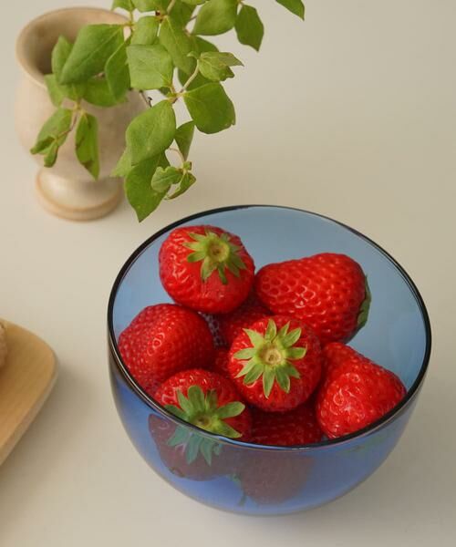 URBAN RESEARCH DOORS / アーバンリサーチ ドアーズ その他 | 『WEB限定』AXCIS　ラゴムボウルS ブルー | 詳細4