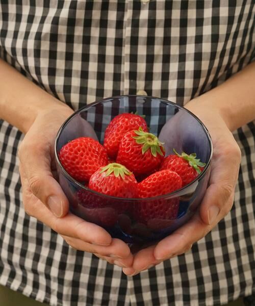 URBAN RESEARCH DOORS / アーバンリサーチ ドアーズ その他 | 『WEB限定』AXCIS　ラゴムボウルS ブルー | 詳細5