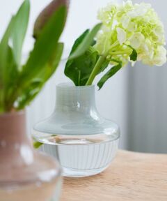 URBAN RESEARCH DOORS / アーバンリサーチ ドアーズ インテリア・インテリア雑貨 | 『WEB限定』AXCIS　PUDIN ガラスベース