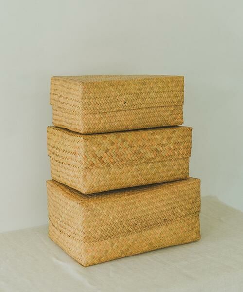 URBAN RESEARCH DOORS / アーバンリサーチ ドアーズ インテリア・インテリア雑貨 | 『WEB限定』サイアム　カチュー水草ふた付き四角BOX M | 詳細9