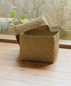 URBAN RESEARCH DOORS / アーバンリサーチ ドアーズ インテリア・インテリア雑貨 | 『WEB限定』サイアム　カチュー水草ふた付き四角BOX L