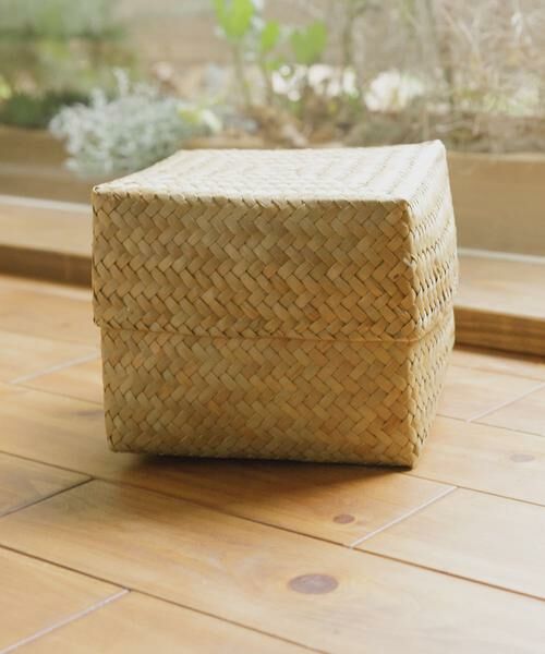 URBAN RESEARCH DOORS / アーバンリサーチ ドアーズ インテリア・インテリア雑貨 | 『WEB限定』サイアム　カチュー水草ふた付き四角BOX M | 詳細10