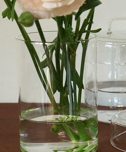 URBAN RESEARCH DOORS / アーバンリサーチ ドアーズ インテリア・インテリア雑貨 | AXCIS　ガラスキャニスターM | 詳細5