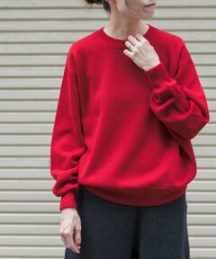 URBAN RESEARCH DOORS / アーバンリサーチ ドアーズ ニット・セーター | FORK&SPOON　ミラノリブクルーネックニット