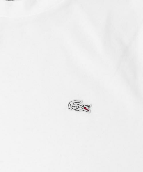 URBAN RESEARCH DOORS / アーバンリサーチ ドアーズ Tシャツ | LACOSTE　ベーシックロングスリーブTシャツ | 詳細12