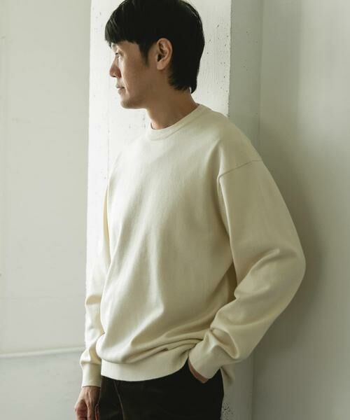 URBAN RESEARCH DOORS / アーバンリサーチ ドアーズ ニット・セーター | 『仁村紗和さん着用』『UR TECH 200日ニット』クルーネック | 詳細10