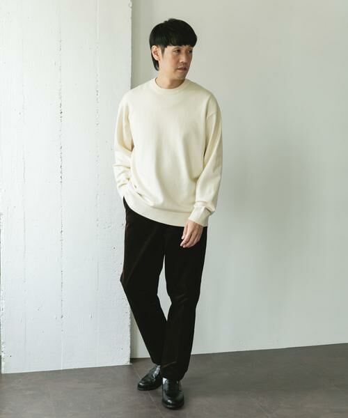 URBAN RESEARCH DOORS / アーバンリサーチ ドアーズ ニット・セーター | 『仁村紗和さん着用』『UR TECH 200日ニット』クルーネック | 詳細13