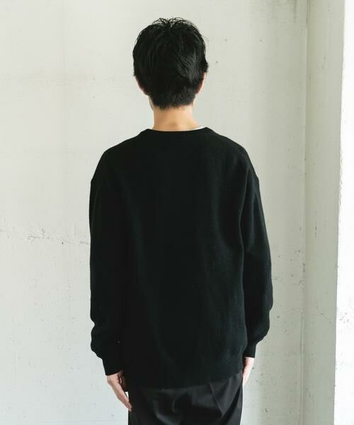 URBAN RESEARCH DOORS / アーバンリサーチ ドアーズ ニット・セーター | ハミルトンウールヘンリーネックニット | 詳細12