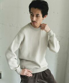 URBAN RESEARCH DOORS / アーバンリサーチ ドアーズ ニット・セーター | ジャガードモールニットプルオーバー