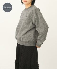 URBAN RESEARCH DOORS / アーバンリサーチ ドアーズ スウェット | 『別注』Snow Peak Apparel ×DOORS　RecycledCottonSweat