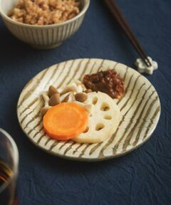 URBAN RESEARCH DOORS / アーバンリサーチ ドアーズ その他 | 塩幡桃子　5寸プレート フェザーコーム