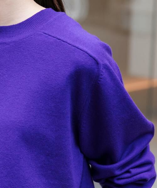 URBAN RESEARCH DOORS / アーバンリサーチ ドアーズ ニット・セーター | FORK&SPOON　コットンウールクルーネックニット | 詳細6