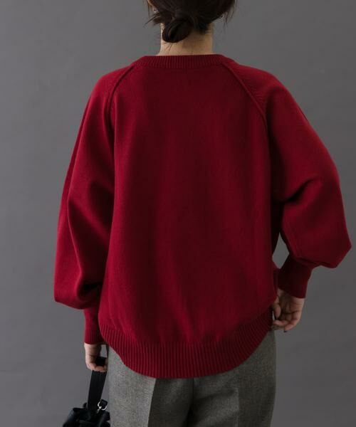 URBAN RESEARCH DOORS / アーバンリサーチ ドアーズ ニット・セーター | FORK&SPOON　ラグランニットプルオーバー | 詳細3