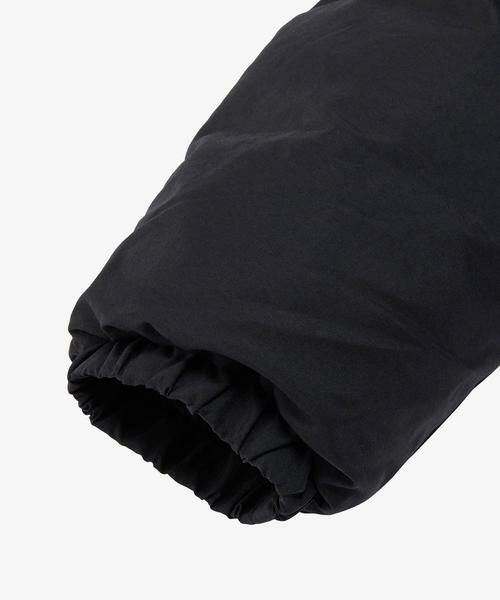 URBAN RESEARCH DOORS / アーバンリサーチ ドアーズ ダウンジャケット・ベスト | THE NORTH FACE　Alteration Sierra Jacket | 詳細3