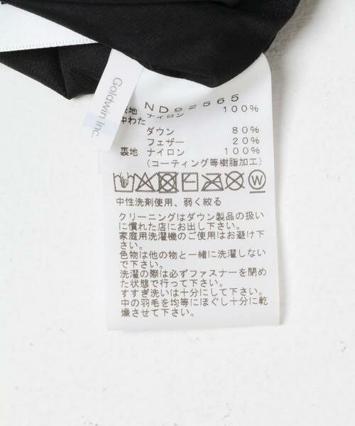 URBAN RESEARCH DOORS / アーバンリサーチ ドアーズ ダウンジャケット・ベスト | THE NORTH FACE　Alteration Sierra Jacket | 詳細10